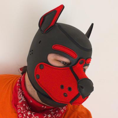 pup quat