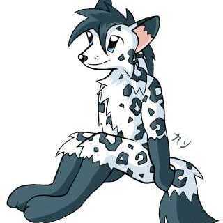 Spottyfox斑狐狸