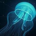 Jelly