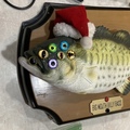 Minya Minilla ~ Kaiju Emeritus