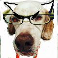 Kat :glassesdog: