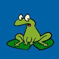 The Frog