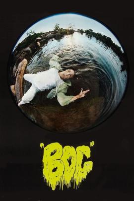 Cover for Bog